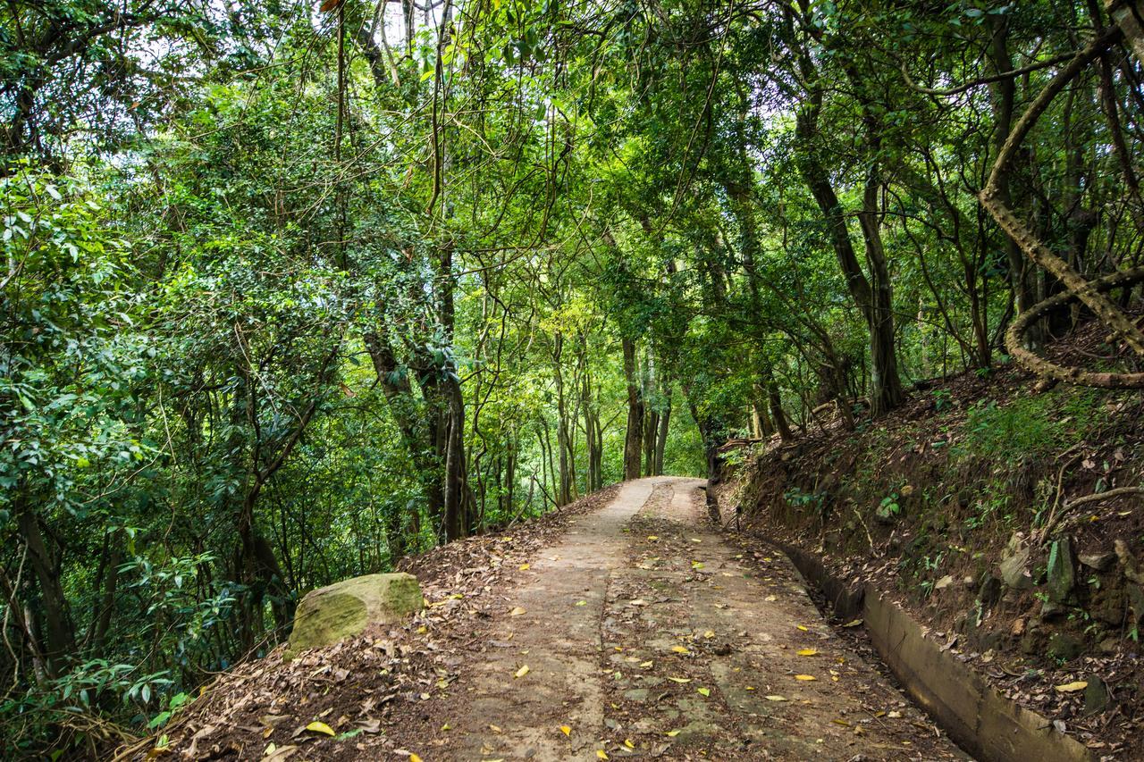 Udawatta Kele Villa Kandy Kültér fotó