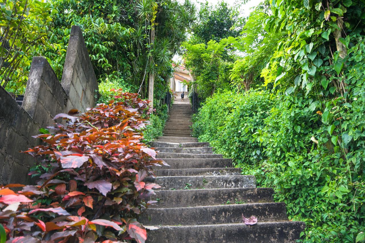 Udawatta Kele Villa Kandy Kültér fotó