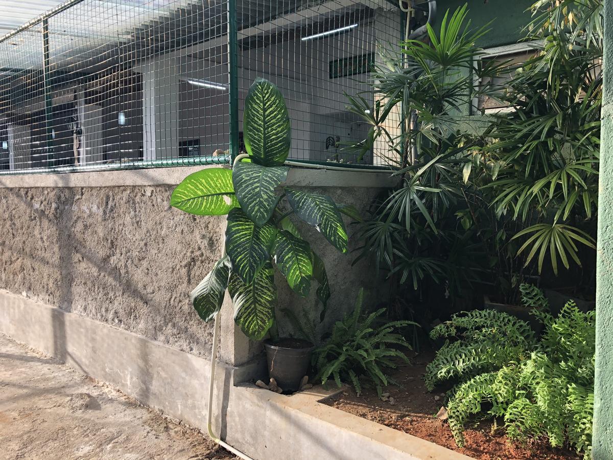 Udawatta Kele Villa Kandy Kültér fotó