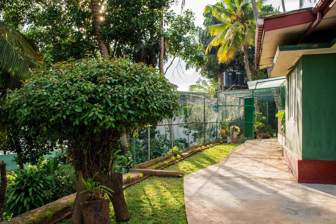 Udawatta Kele Villa Kandy Kültér fotó